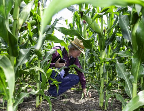 Ukrajinskou půdu ničí eroze i válka. Regenerativní zemědělství jí dává šanci vzpamatovat se