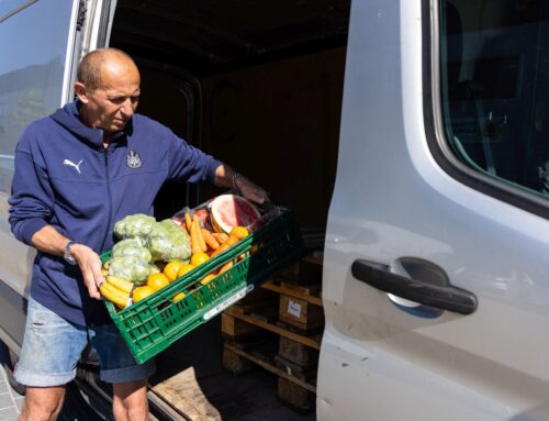 Potravinové banky jezdí do Tesca pro jídlo už dvakrát denně. Jde o miliony porcí ročně