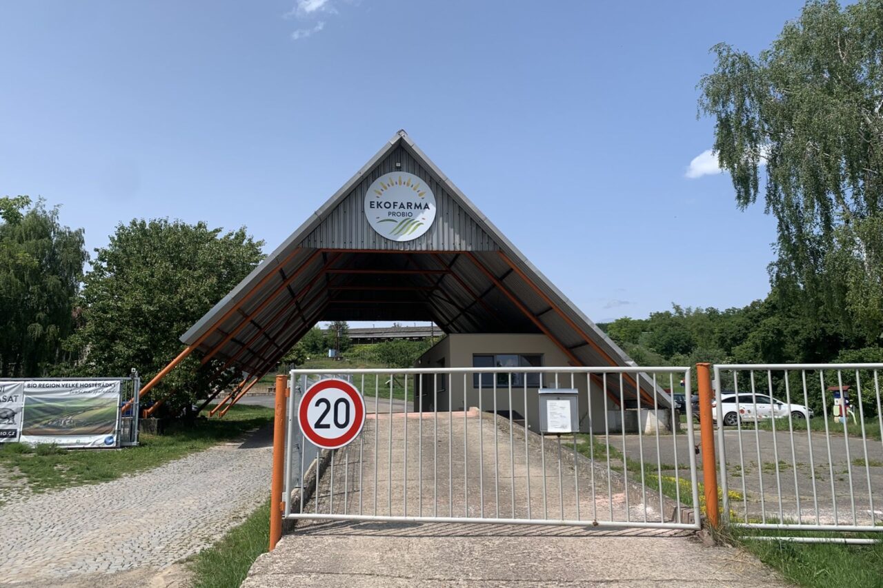 Ekologická farma Probio v jihomoravských Velkých Hostěrádkách čeká na fotovoltaickou elektrárnu již tři roky. Foto: Klára Votavová