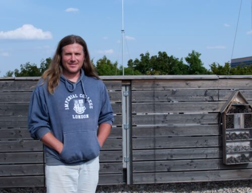 Instantní komár, pneumatiky a globální oteplování. Odborník popisuje, jak komáři a klíšťata šíří onemocnění