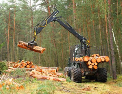 Největší problém při měření uhlíkové stopy je pro Lesy ČR kvalita vstupních dat. Partnerů mají několik tisíc