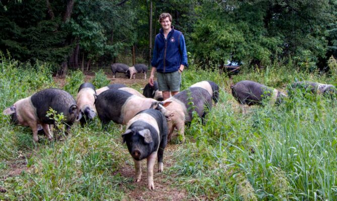 Farmář a šlechtic Wenzel Lobkowicz hospodaří na farmě ve středočeských Drahenicích od roku 2017. Foto: Karolína Chlumecká, Ekonews