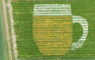 Plzeňský Prazdroj testuje regenerativní postupy pěstování ječmene a chmele spolu s farmáři a Českou zemědělskou univerzitou v Praze a brněnskou Mendelovou univerzitou. Foto: poskytnuto Plzeňským Prazdrojem