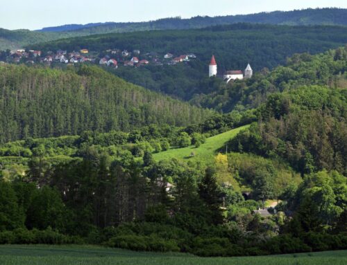 Předvolební ekodotazník: které strany podpoří vznik Národního parku Křivoklátsko?