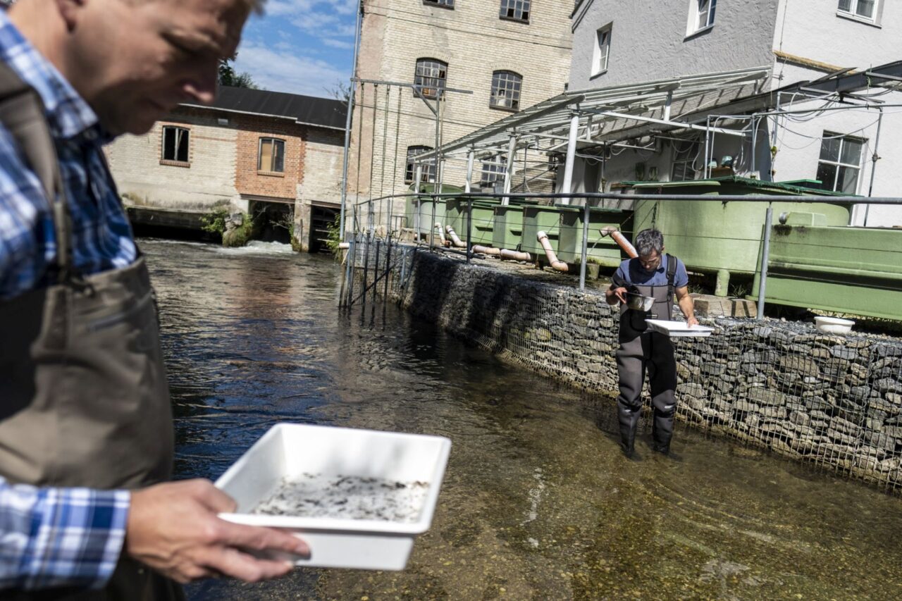 Biolog Jürgen Geist studuje mikroorganismy v potoce hned vedle svého ústavu. Foto: Rainer Kwiotek, Zeitenspiegel