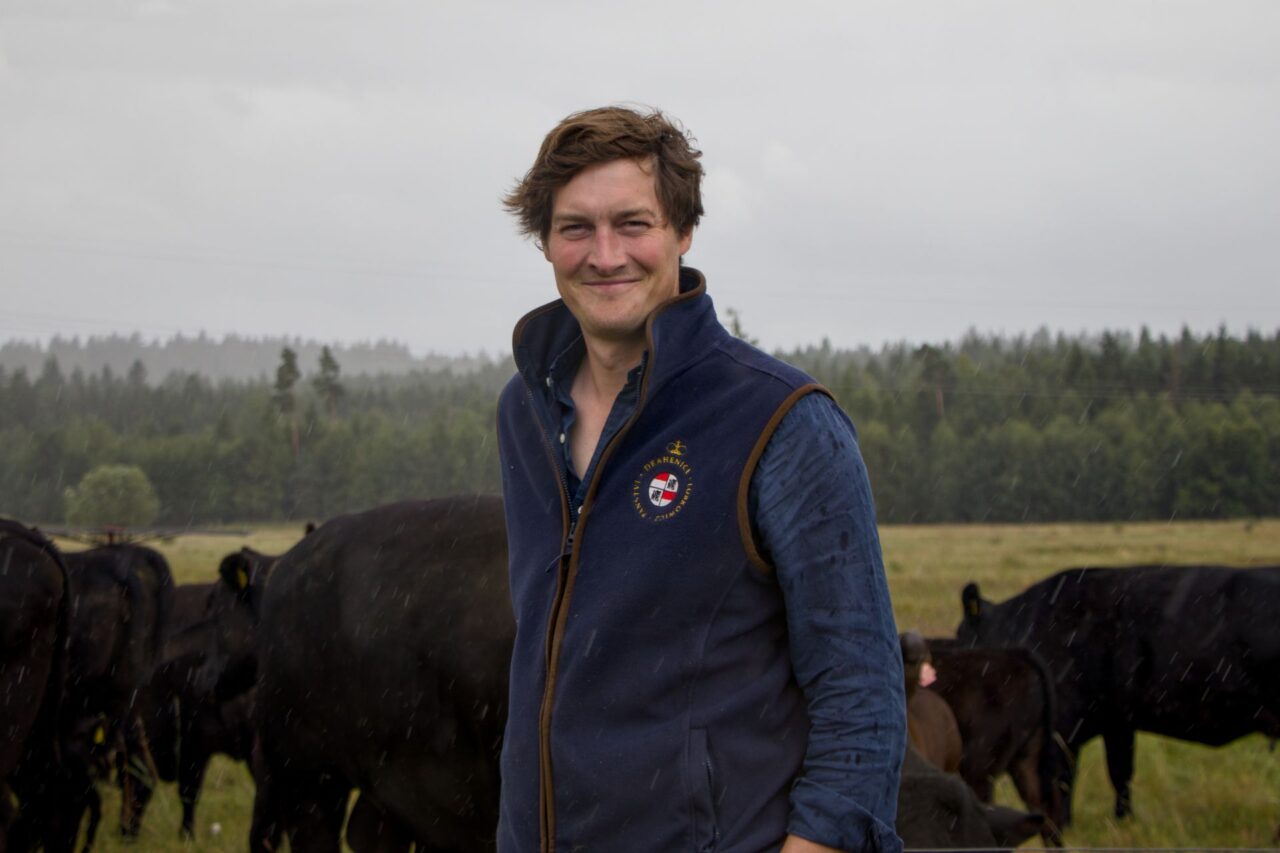 Zvířata farmář poprvé vypouští na začátku dubna, tam zůstávají až do konce listopadu, minulý rok dokonce až do prosince. Foto: Karolína Chlumecká, Ekonews