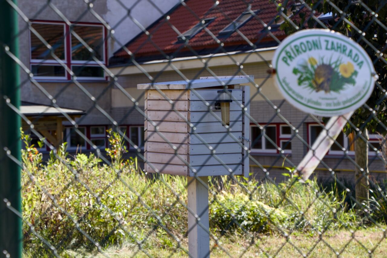 V okolí mají několik venkovních tříd, kde se děti učí v teplých dnech. Foto: Karolína Chlumecká, Ekonews
