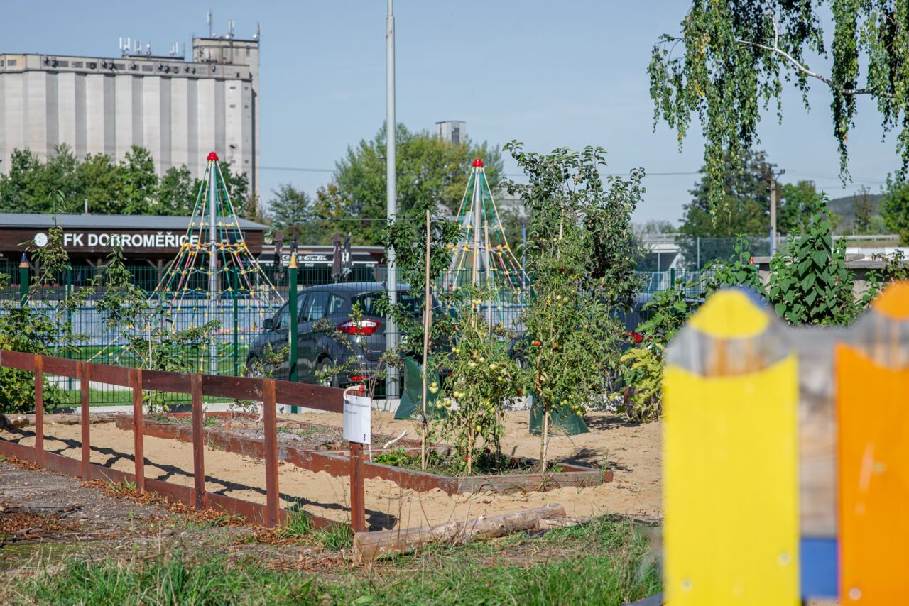 Na zahradě si děti pěstují ovoce, zeleninu i bylinky. Foto: Kateřina Hefler, Ekonews