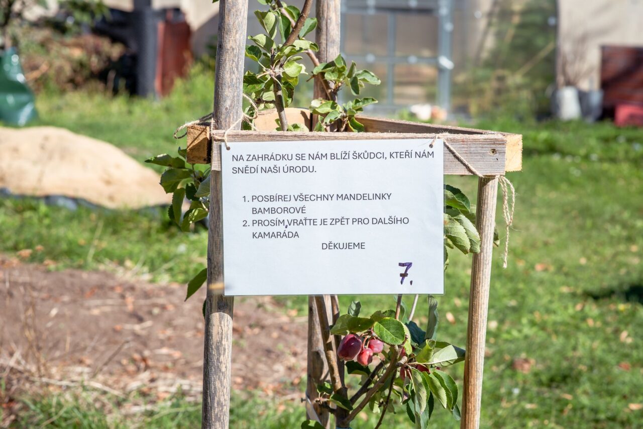 V mateřské škole v Dobroměřicích děti učí, co se všechno s jídlem stane, než se dostane na stůl. Foto: Kateřina Hefler, Ekonews.