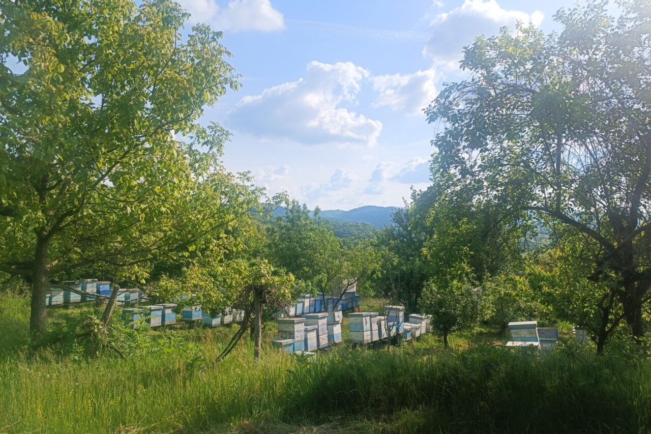 Údolí řeky Jadar se nachází na západě Srbska. Foto: Nina Djukanović