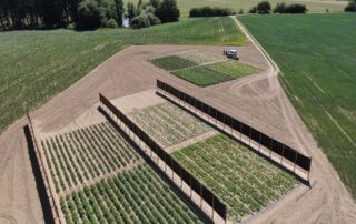 Na farmě Valečov na Vysočině vědci zkoumají, jak mohou agrovoltaické systémy pomoci zvýšit odolnost plodin. Foto: postkytnuto Výzkumným ústavem bramborářským Havlíčkův Brod