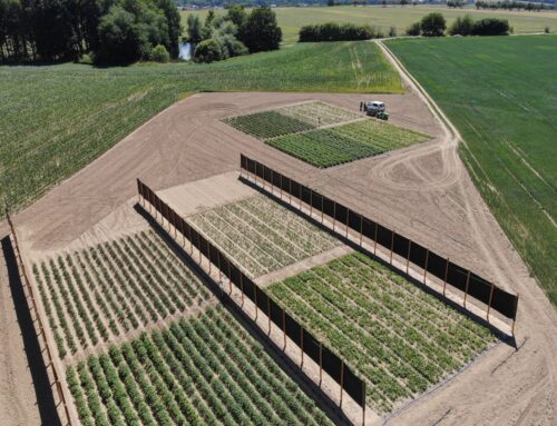 Soláry míří nad zeleninu, budou na ně i dotace. Na Vysočině společně s nimi pěstují brambory a sóju