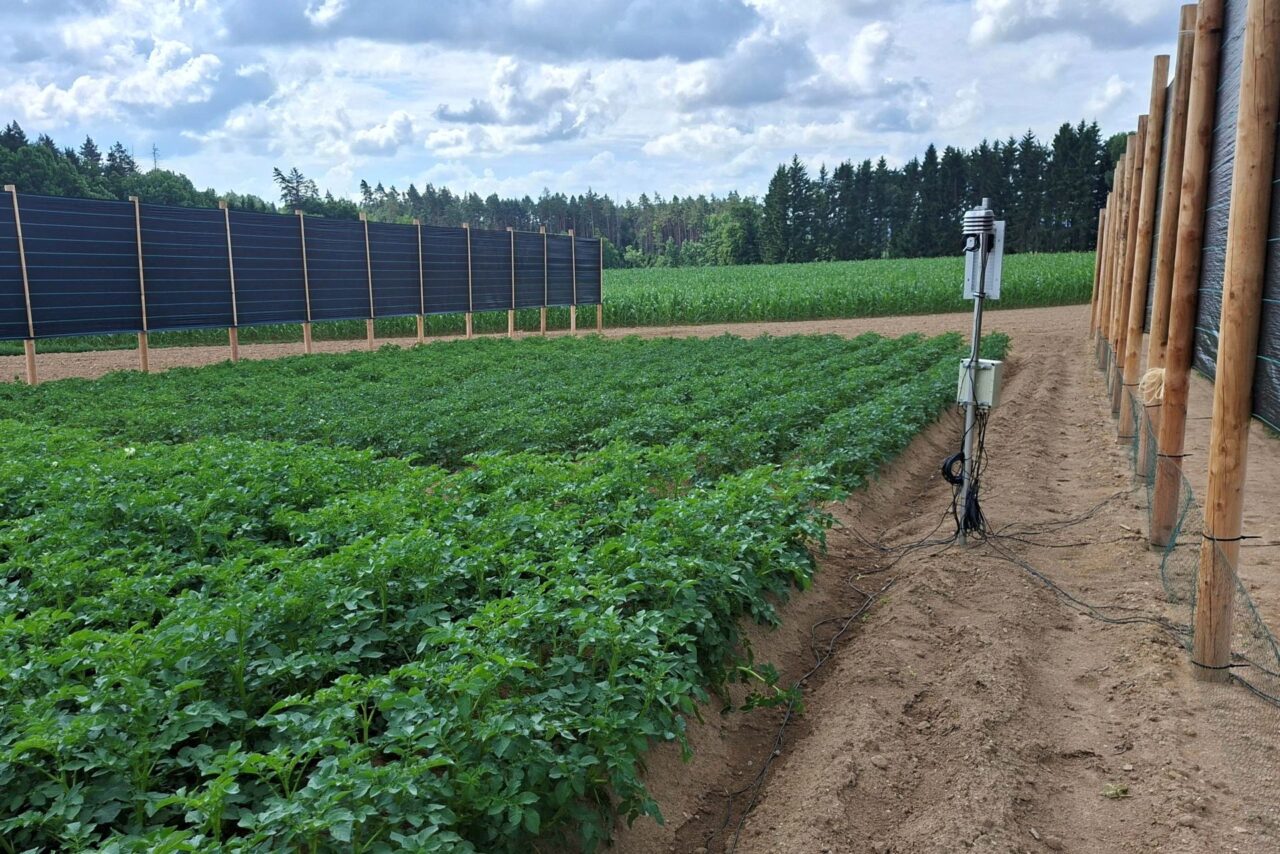 Výzkumníci pozorují fyzikální vlastnosti půdy nebo porovnávají růst mezi panely a mimo ně. Foto: postkytnuto Výzkumným ústavem bramborářským Havlíčkův Brod