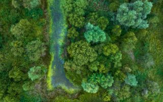 Ilustrační foto: Daniel Mirlea, Unsplash