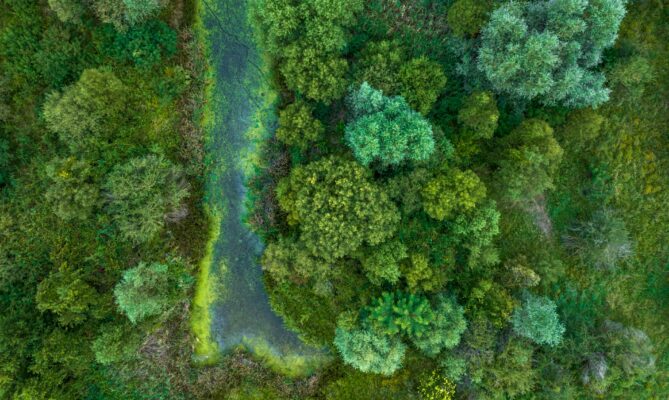 Ilustrační foto: Daniel Mirlea, Unsplash