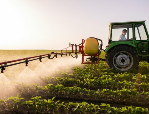 V ovoci a obilí jsou koktejly pesticidů. Našly se i na polích ekologických farmářů