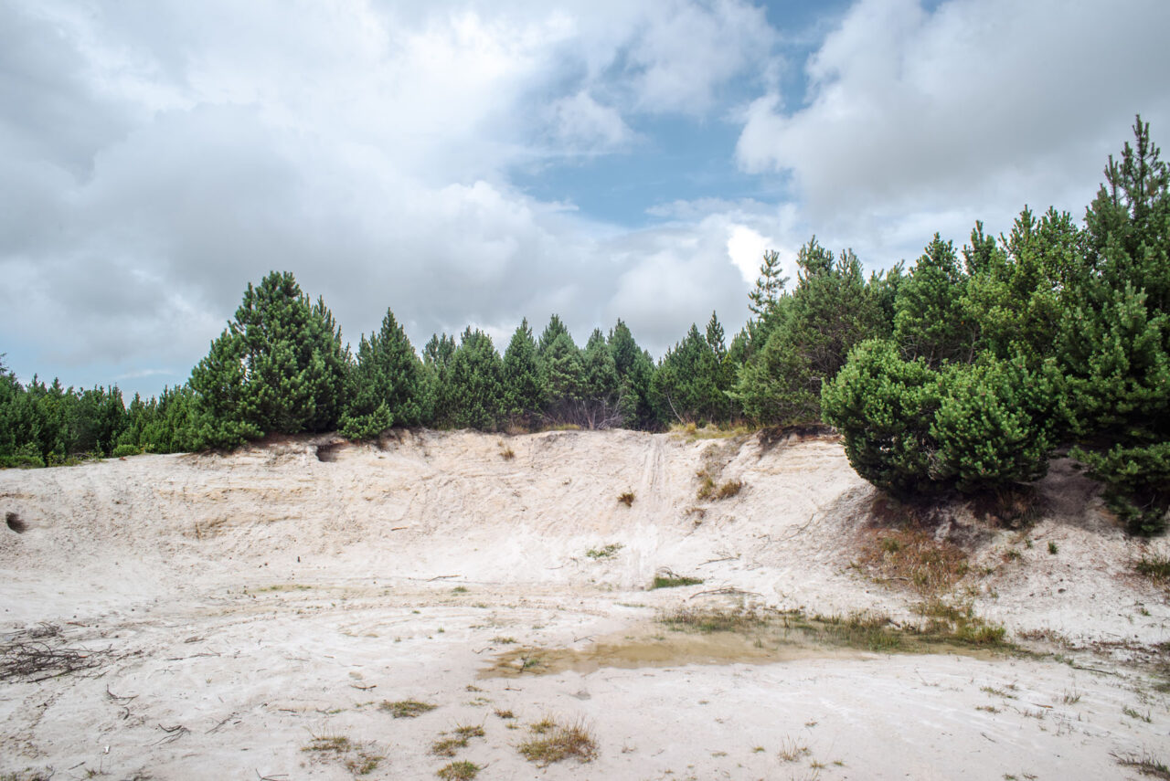 Bílý písek nedaleko zastavěné části obce poblíž bývalého dolu Cínovec I je ve skutečnosti „odpadní“ materiál z bývalé těžby. Foto: Kateřina Hefler, Ekonews