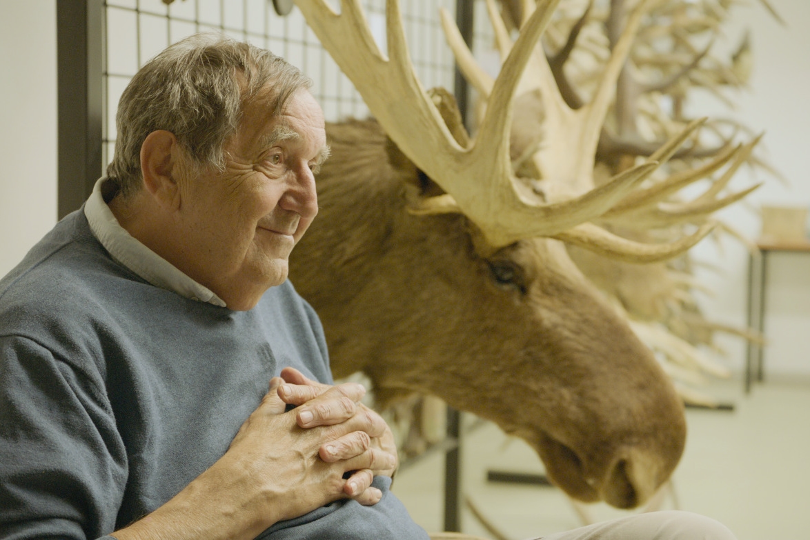 Zoolog Miloš Anděra při natáčení popisuje příchod losů zpět do Československa. Foto: film Amoosed: losí odysea