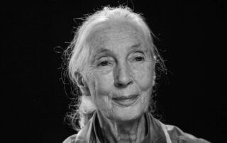 Jane Goodallová zemřela 1. října ve věku 91 let. Foto: ČTK / AP / Kathy Willens