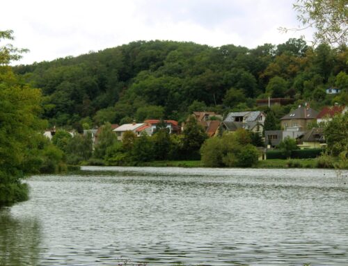 Proč firmy potřebují data k biodiverzitě. A co ukázaly české rybníky
