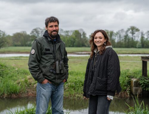 Ptačí park na místě zasypané vesnice vrací život do krajiny na Mostecku. Čeká už jen na dudka