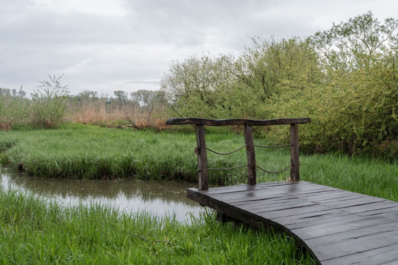 První park Josefovské louky poblíž Jaroměře vznikl před necelými dvěma dekádami. Foto: poskytnuto společností E.ON