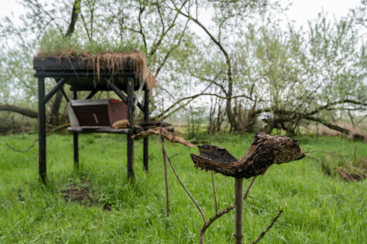 Ornitologové se v parku starají o místní zeleň a vytvářejí vhodné podmínky pro život ptáků. Foto: poskytnuto společností E.ON