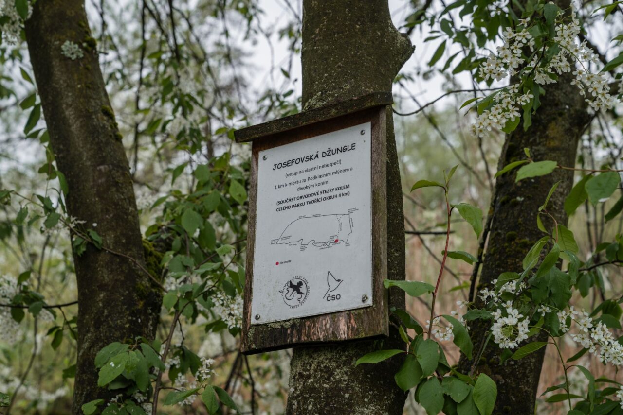V parcích Česká společnost ornitologická buduje návštěvnické stezky s informačními tabulemi a pozorovatelny. Foto: poskytnuto společností E.ON