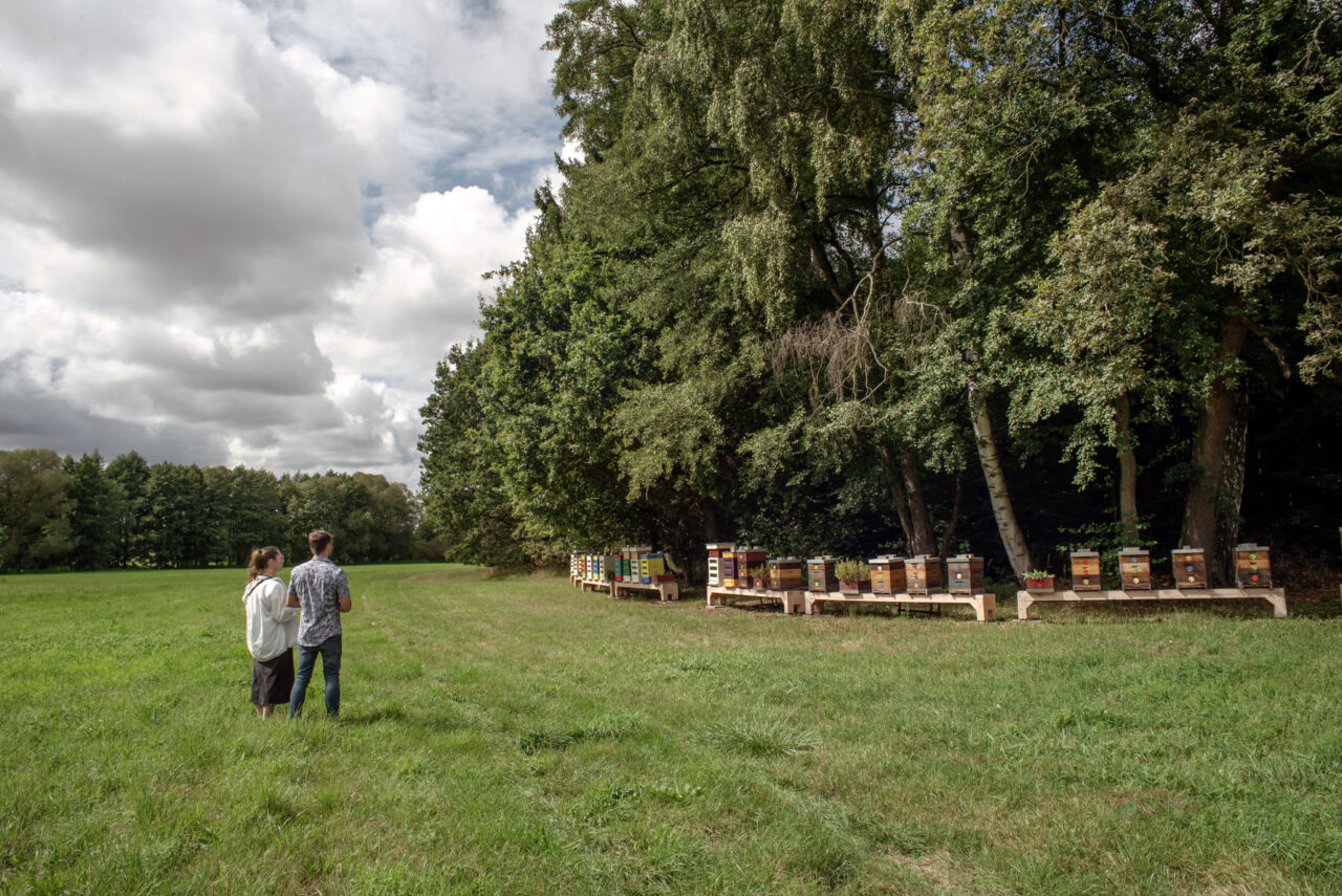 Josef Kölbl z Včelařství Domovina má už zhruba dvě desítky termosolárních úlů. Foto: Kateřina Hefler, Ekonews