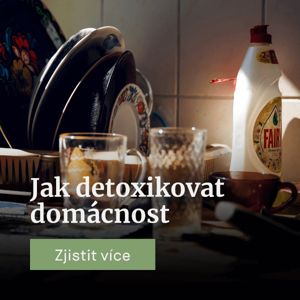 Jak detoxikovat domácnost