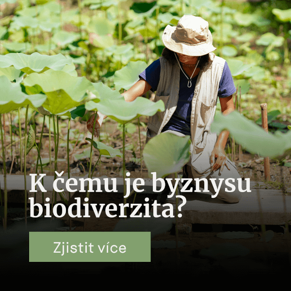K čemu je byznysu biodiverzita