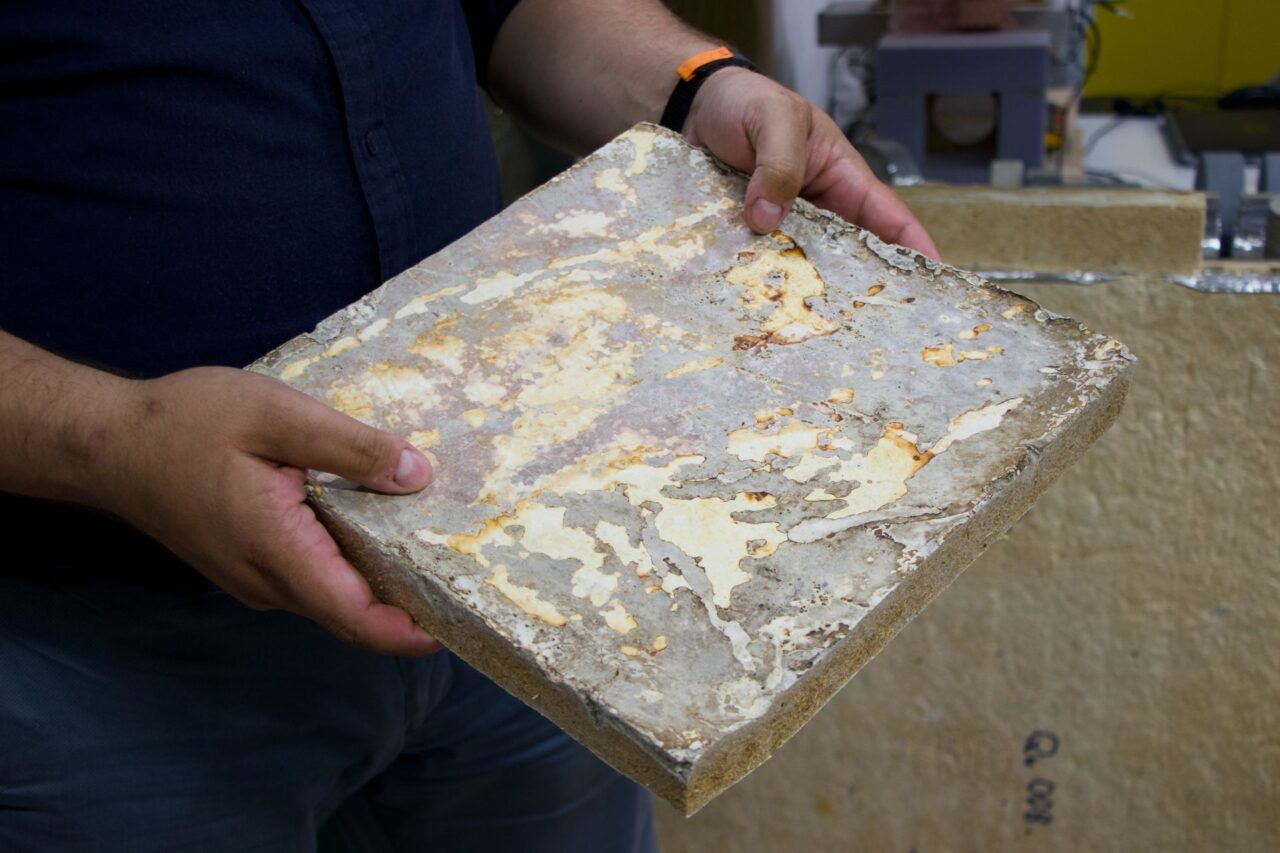 V UCEEB experimentují také s myceliem neboli podhoubím. Foto: Karolína Chlumecká, Ekonews