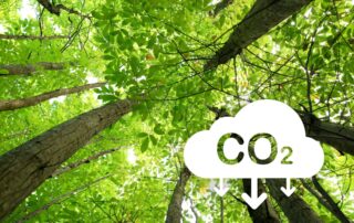 Offsety z uhlíkového lesnictví a zemědělství mají podpořit dosažení klimatických cílů Evropské unie do roku 2030. Ilustrační foto: Getty Images