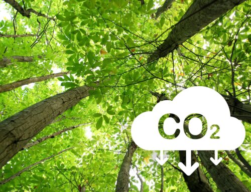 Rýsují se pravidla pro zachytávání uhlíku. Příští rok Komise začne přijímat žádosti o certifikaci