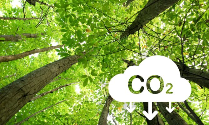 Offsety z uhlíkového lesnictví a zemědělství mají podpořit dosažení klimatických cílů Evropské unie do roku 2030. Ilustrační foto: Getty Images