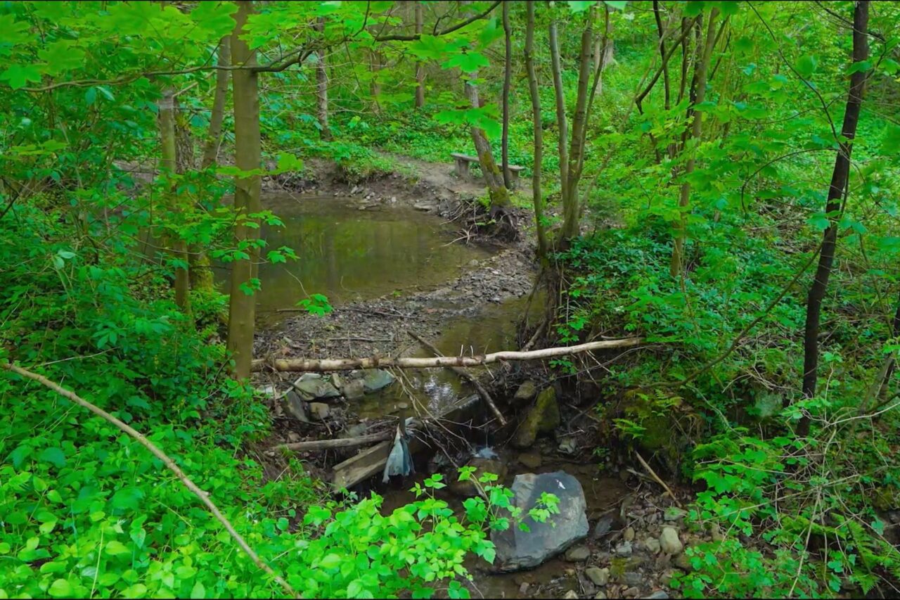 V rámci boje se suchem budují v okolí obce tůně, které pomáhají zadržovat vodu v krajině. Foto: ČSOB