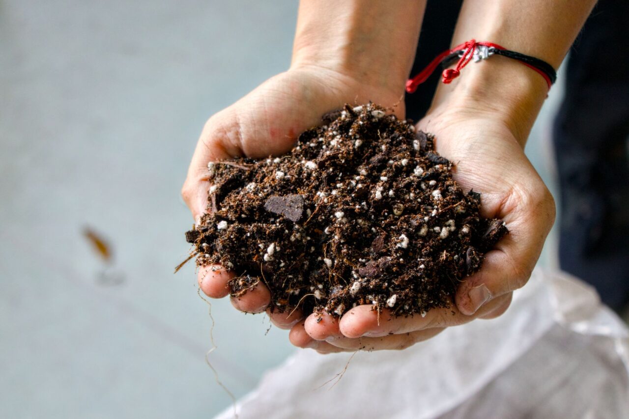 Důraz kladou na kvalitní substrát, který si míchají. Nepoužívají v něm rašelinu, jejíž těžba představuje zátěž pro životní prostředí. Foto: Karolína Chlumecká, Ekonews