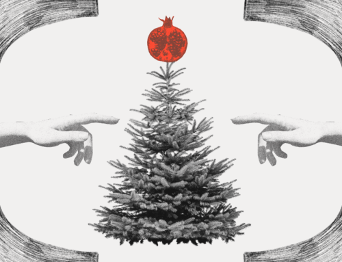 4 druhy vánočních stromečků. Jaké jsou jejich výhody a nevýhody?