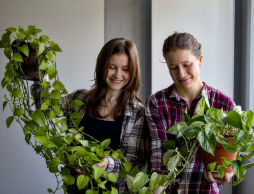 Jak na pokojovky udržitelně? Hlavně se postarejte o ty, které už máte doma, radí Farmářky z paneláku