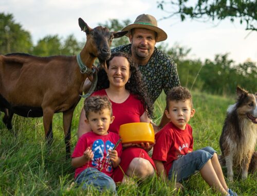 Mnoho hospodářů řeší jen výnosy. Ale krajina, o kterou se pečuje, často dá víc než plná peněženka, říká farmář