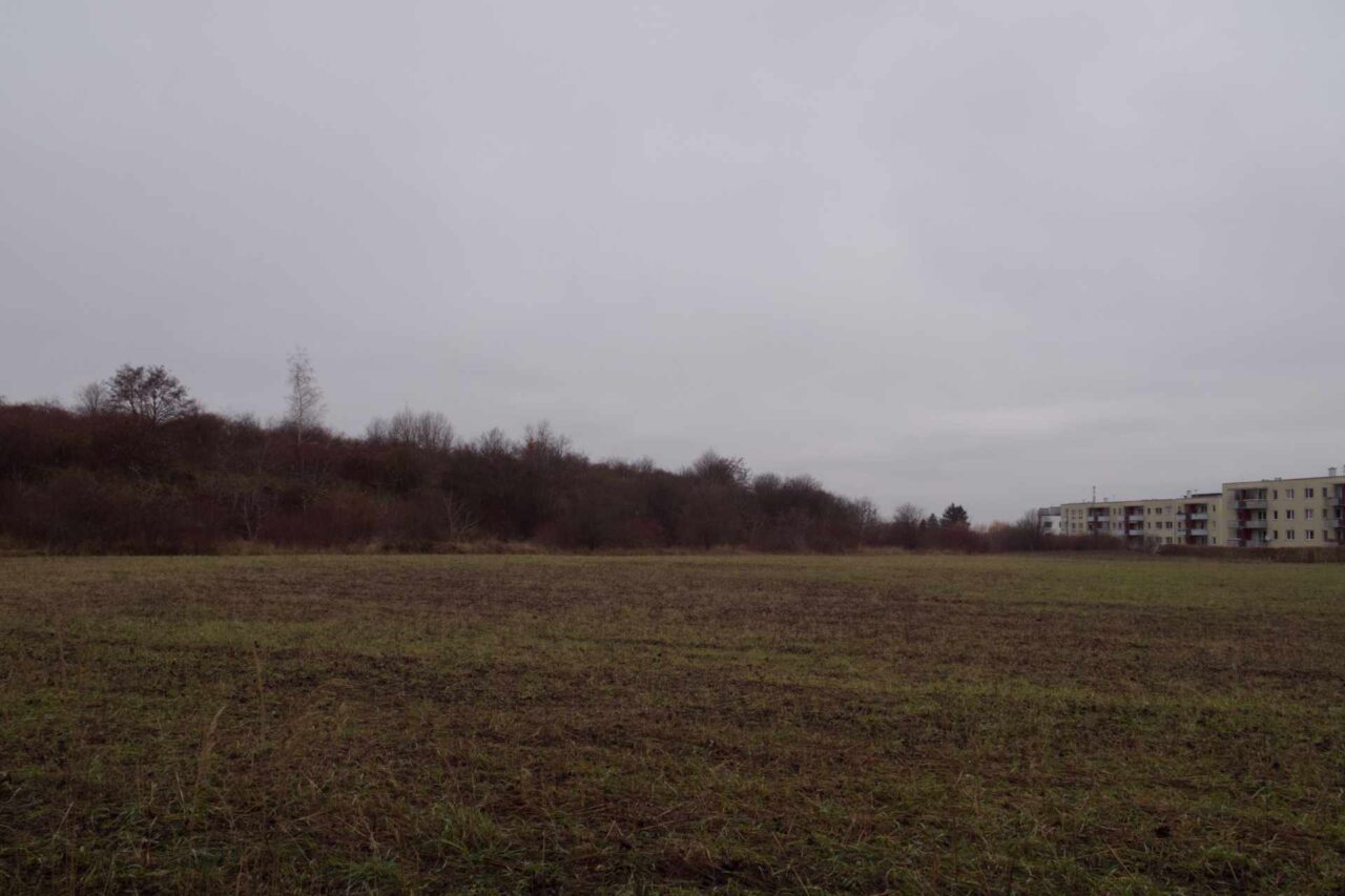 Pozemky bývalé skládky by měly sloužit k výstavbě například domova s pečovatelskou službou. Foto: Tereza Koudelová, Ekonews