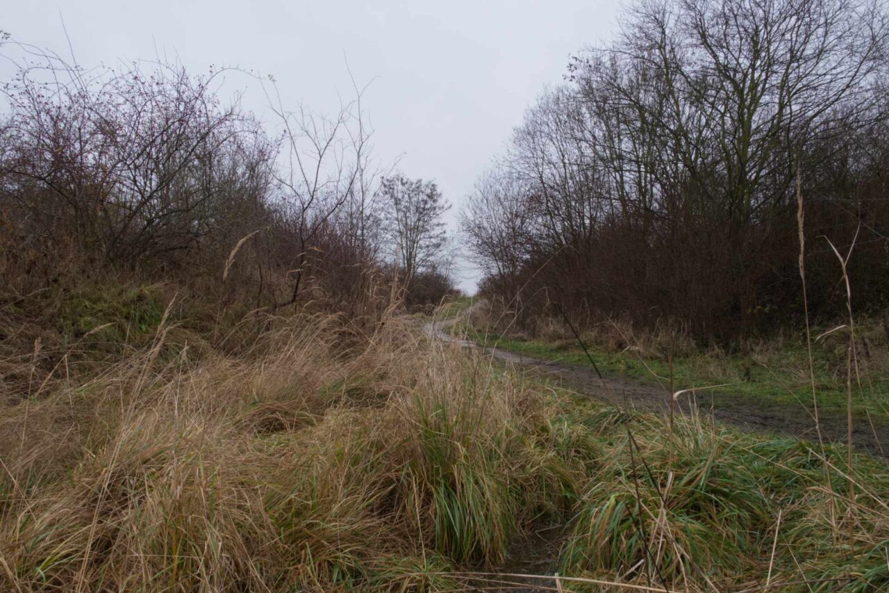 Občané se obávají, že se při narušení bývalé skládky dostanou do podzemních vod chemikálie. Foto: Tereza Koudelová, Ekonews