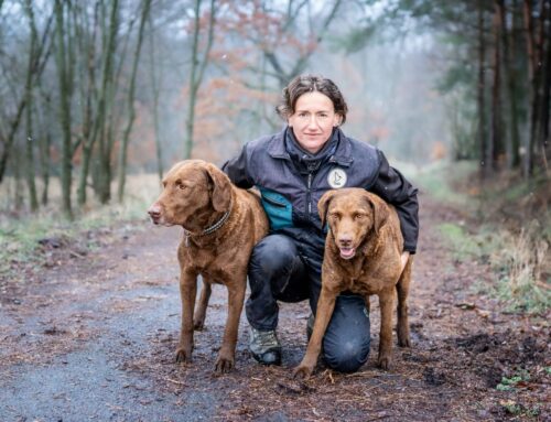 Když najdete otrávené zvíře, nevolejte myslivce, říká psovodka. Často stojí za otravami, prokázaly i soudy