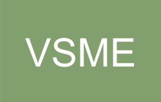 VSME, Ilustrace: Ekonews