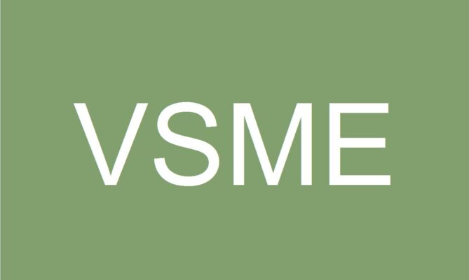 VSME, Ilustrace: Ekonews