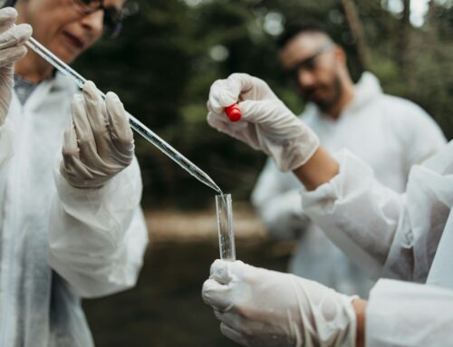 Léky stále končí v záchodě. Výsledkem je i to, že ryby se mění na dvoupohlavní a hynou hlady