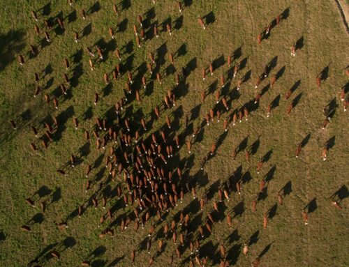 Komentář: Obchodní dohoda EU a Mercosuru je riziková. V Jižní Americe je běžné i letecké práškování pesticidy