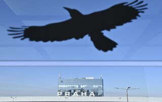 Kresba dravce - odpuzovače ptáků - u Letiště Václava Havla v Praze. Foto: ČTK / Kamaryt Michal