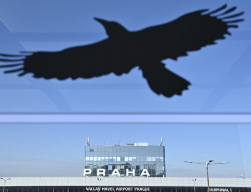 Lesklé skleněné fasády jsou smrtící pastí pro ptáky. Uhyne kvůli nim kolem milionu opeřenců ročně