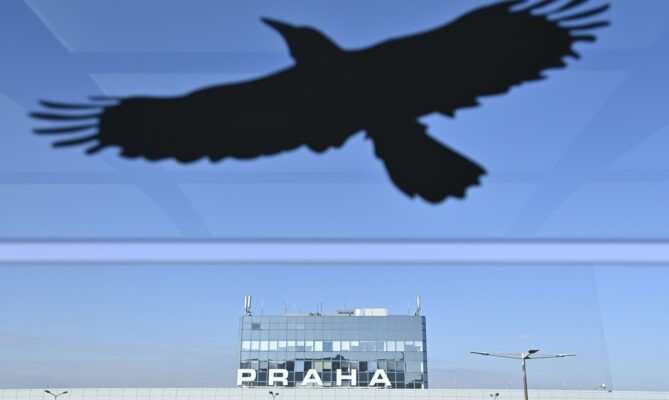 Kresba dravce - odpuzovače ptáků - u Letiště Václava Havla v Praze. Foto: ČTK / Kamaryt Michal